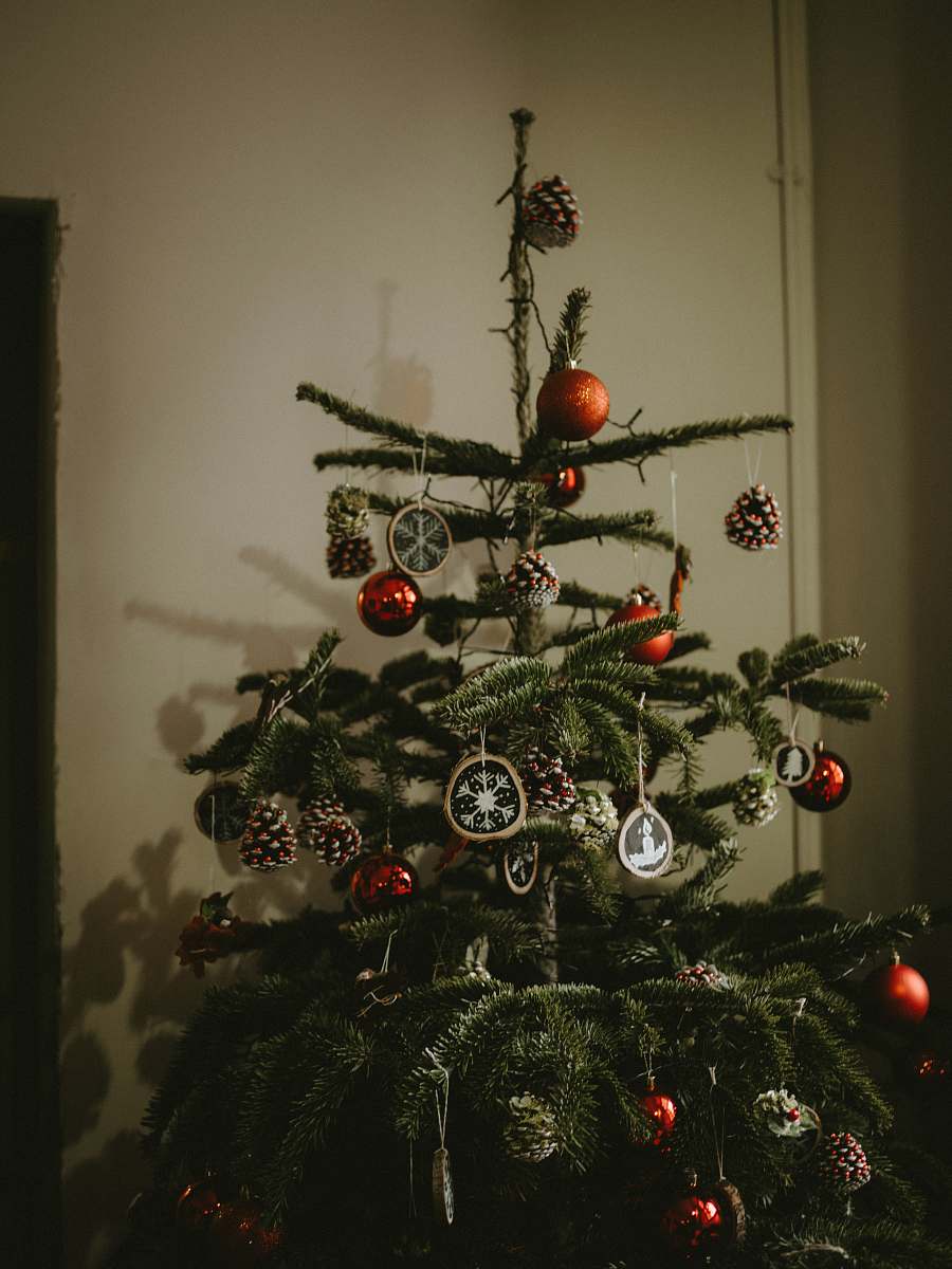 ornament Christmas tree with ornaments plant